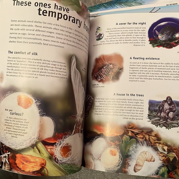 7 “so many ways” books with birds, reptiles, animals etc - Picture 12 of 12